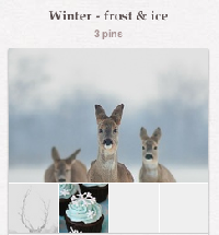 Winter/Frost Pinterest swap