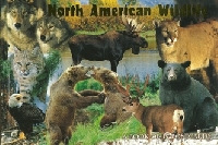 3 North America animal pc swap