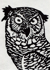 Owl ATC for singsweetly