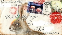 Animal mail art( paint an animal) *international*
