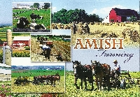 Amish/Mennonite/People Postcards