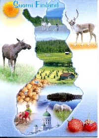 5 touristy postcards *International* 