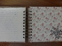Journal Pages #1