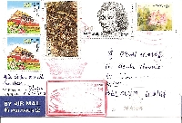 3+ Postage Stamps Postcard #6
