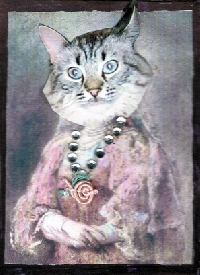 Kitty Kat Rolo Card