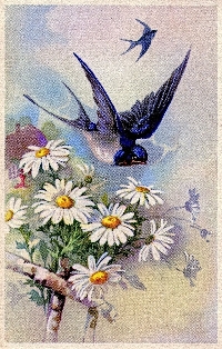 Vintage Postcards - Spring