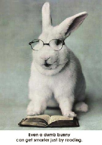 I spy a bunny rabbit Postcard swap