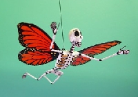 Calaca: La Mariposa