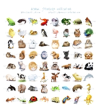 Kid Penpal & Animal Stickers