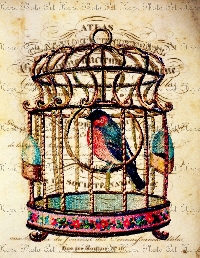 Vintage APC w/ a Birdcage