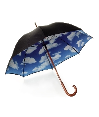 PP *1 Rainy Day Umbrella ATC*
