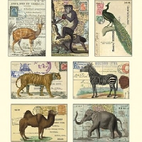 Animal Postcards are cute! :3