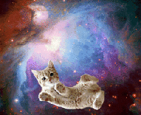 Cat in Space ATC 