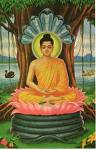 Buddha ATC