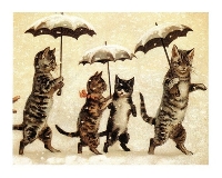 WIYM: MAIL ART: CATS!!