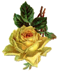 Vintage ATC w/ a Yellow Rose