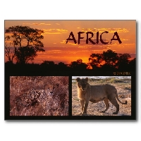 Postcard from AFRICA