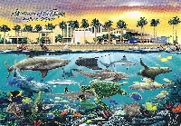 Aquarium Postcard Swap