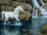 unicorn postcard