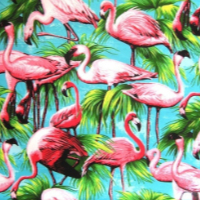 Pinterest ~ Flamingos