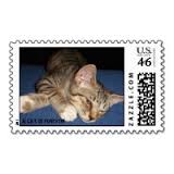 the stamp kitten swap