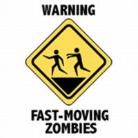 Zombie Apocalypse Survival Diary