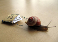 âœ‰ Snail Mail Envie âœ‰ #4