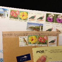 5+ Stamps on Envelope