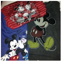 Mickey/Minnie Craft Envie