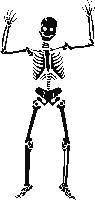 Halloween Card---Skeleton