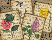 SHEET MUSIC ATC with a Flower - Canada