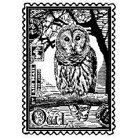 MAM:  Owl Air Mail Art