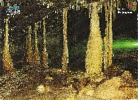 Postcard of a Cave