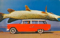 BIG FISH Story Postcard 