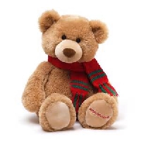 A Christmas Teddy Bear for my child