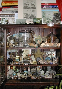 Cabinet of Curiousity Items