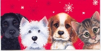 Christmas Card Swap # 12 - Stars