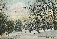 Vintage Postcards - Winter