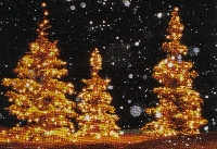 Profile decoration (Christmas trees)