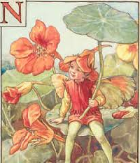 Flower Fairy Postcard Swap #1