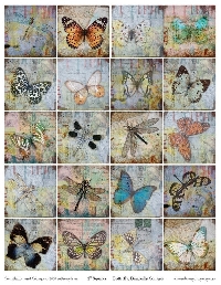 Butterflies and Dragonfly Inchies