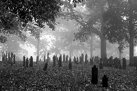 Cemetery Photo Swap