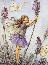 Vintage Fairy Binder Trading Card