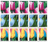 Cover a Postcard/ Envelope in Postage Stamps, R4