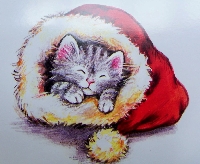 Recycle Christmas card as postcard #6 - cat