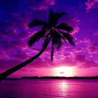 TPP: Colors Everywhere - Purple