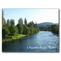 River Postcard