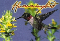 Hummingbird PC and stamp swap USA