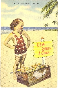 She Sells Seashells Postcard Swap #2