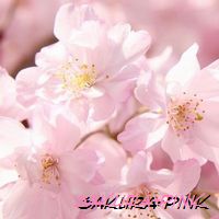 Color Themed FB 1st Edition -sakura pink-